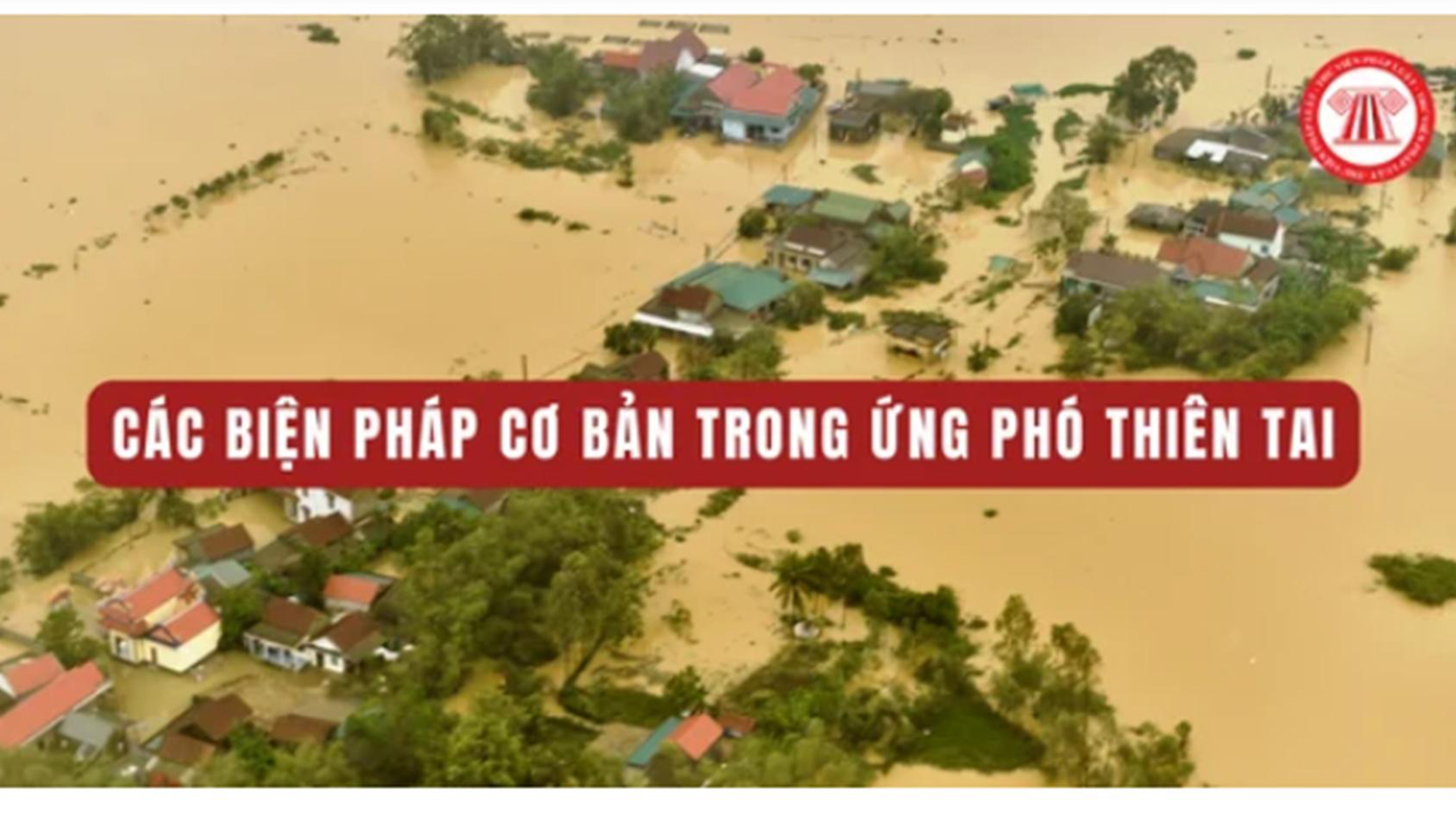 Triển khai thực hiện Kế hoạch số 15-KH/TU của Ban Thường vụ Tỉnh ủy