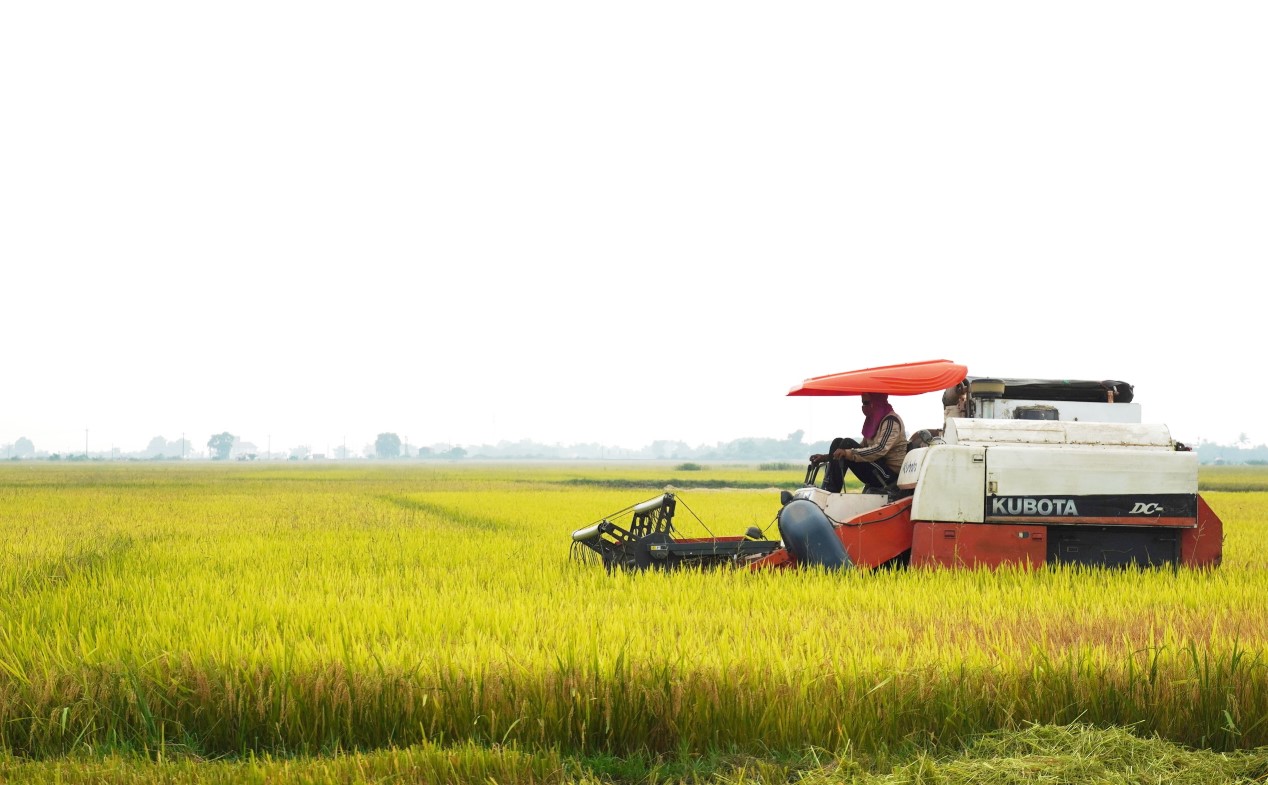 Quảng Trị tăng cường kết nối, thu hút đầu tư phát triển nông nghiệp xanh