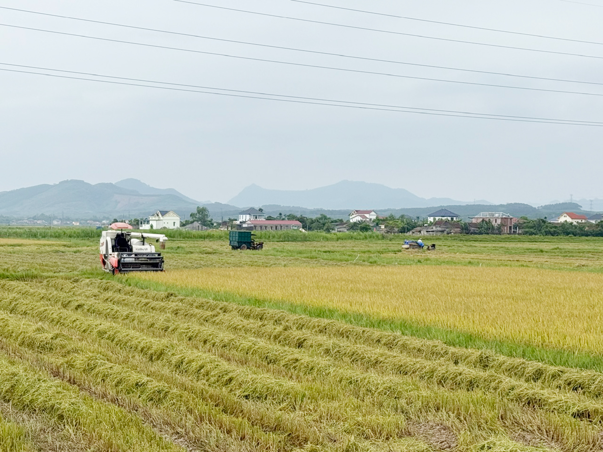 Nâng cao chất lượng lao động ngành Nông nghiệp, hình thành lực lượng nông dân số, nông dân chuyên nghiệp và đội ngũ quản trị hợp tác xã hiện đại