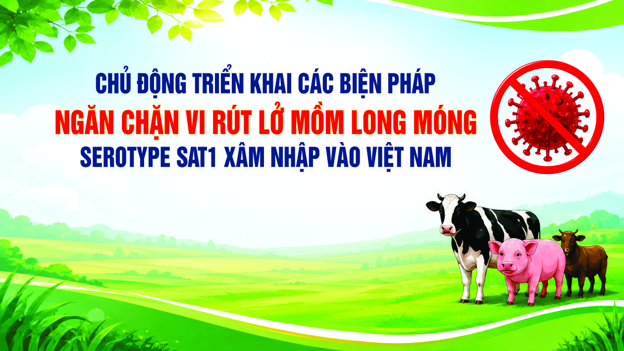 Chủ động triển khai các biện pháp ngăn chặn vi rút Lở mồm long móng serotype SAT1 xâm nhập vào Việt Nam