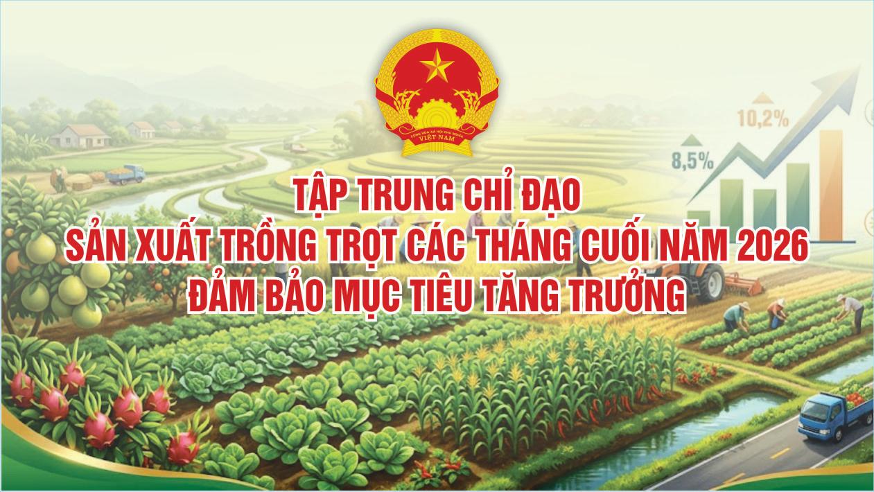 Tập trung chỉ đạo sản xuất trồng trọt các tháng cuối năm 2026, đảm bảo mục tiêu tăng trưởng