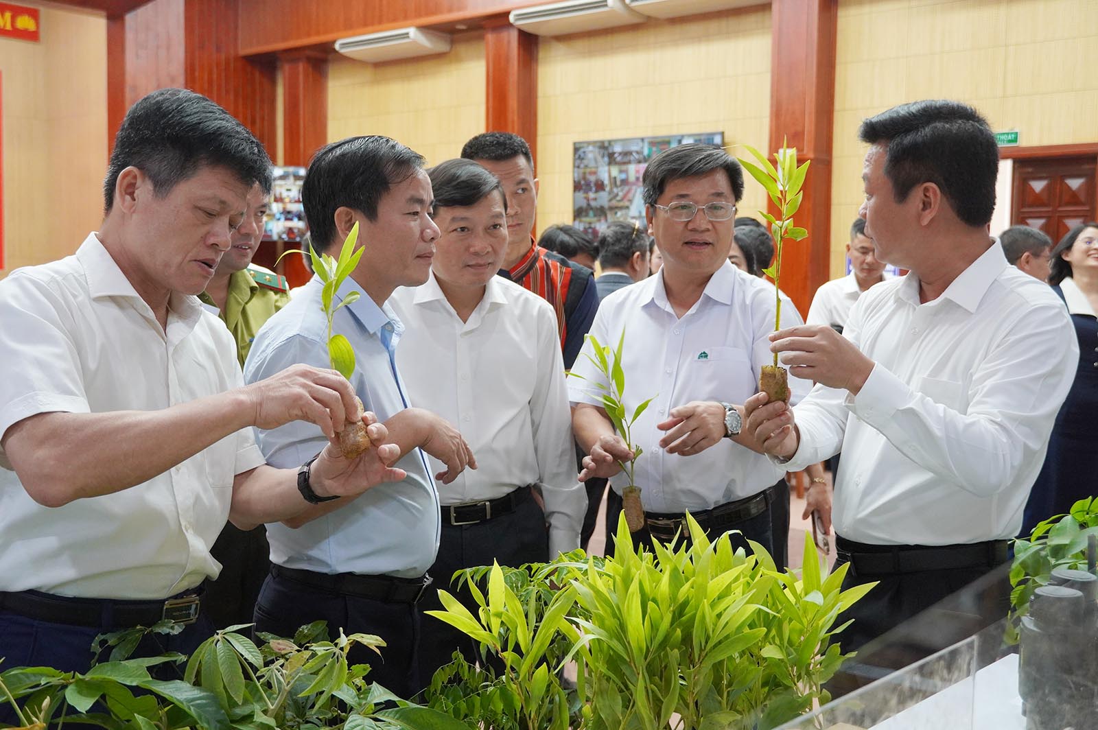 (Video) Bản tin hoạt động nổi bật của lãnh đạo UBND tỉnh trong tuần (từ 27/7 - 31/7/2026)