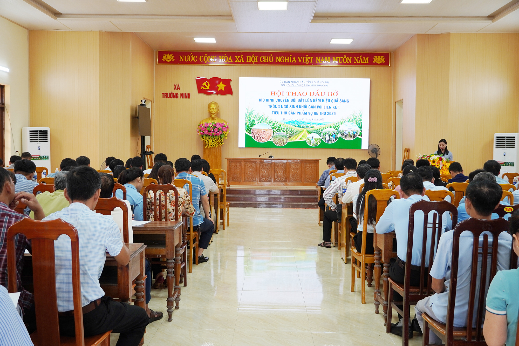 Đánh giá mô hình chuyển đổi đất lúa kém hiệu quả sang trồng ngô sinh khối