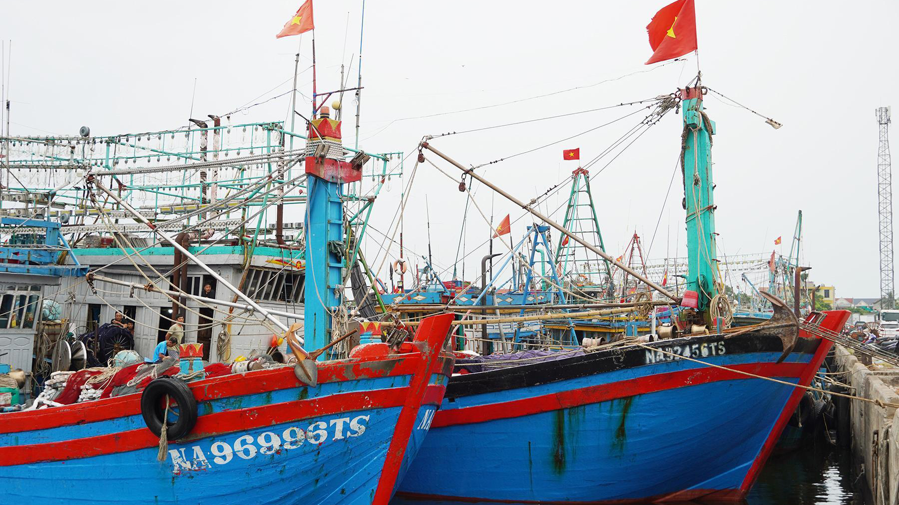 Triển khai thực hiện Thông báo số 706/TB-VPCP ngày 18/12/2025 của Văn phòng Chính phủ