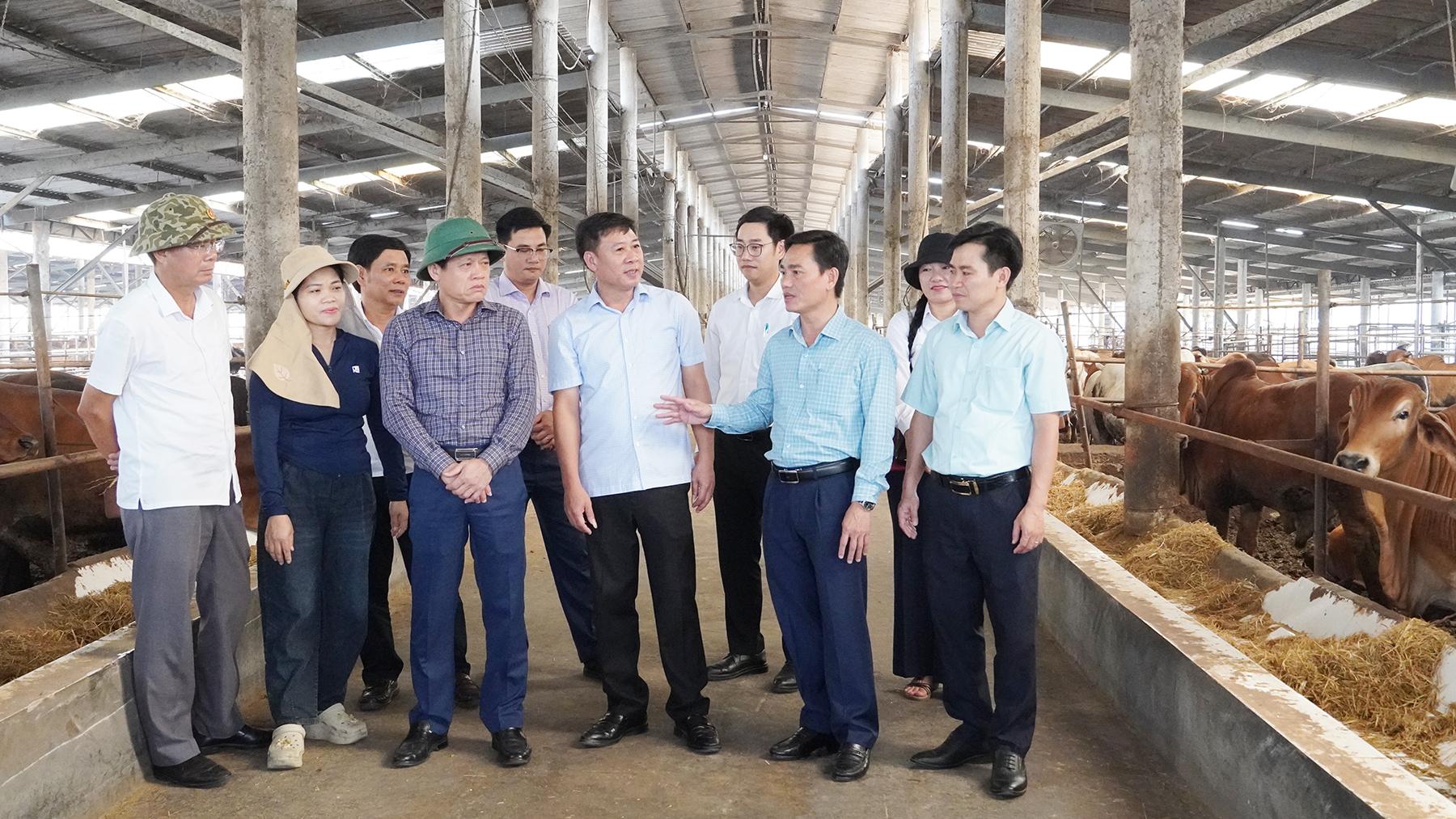 (Video) Bản tin hoạt động nổi bật của lãnh đạo UBND tỉnh trong tuần (từ 20/4 - 24/4/2026)