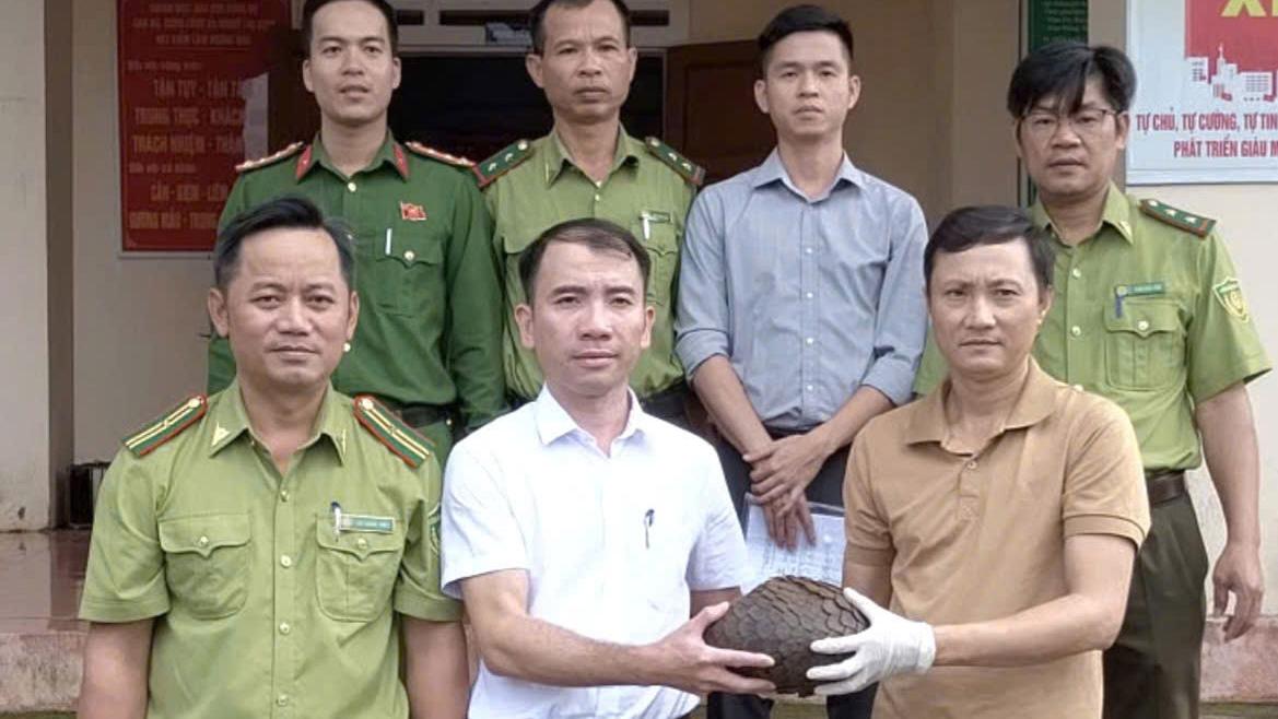 Bàn giao khẩn cấp cá thể tê tê Java nặng 3,8kg bị thương