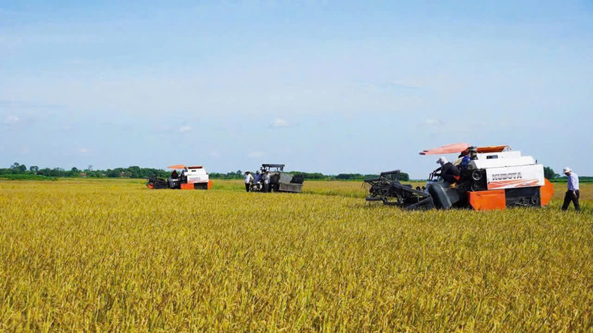 Hội Nông dân xã Triệu Bình phát huy vai trò nòng cốt trong phát triển sản xuất và xây dựng nông thôn mới