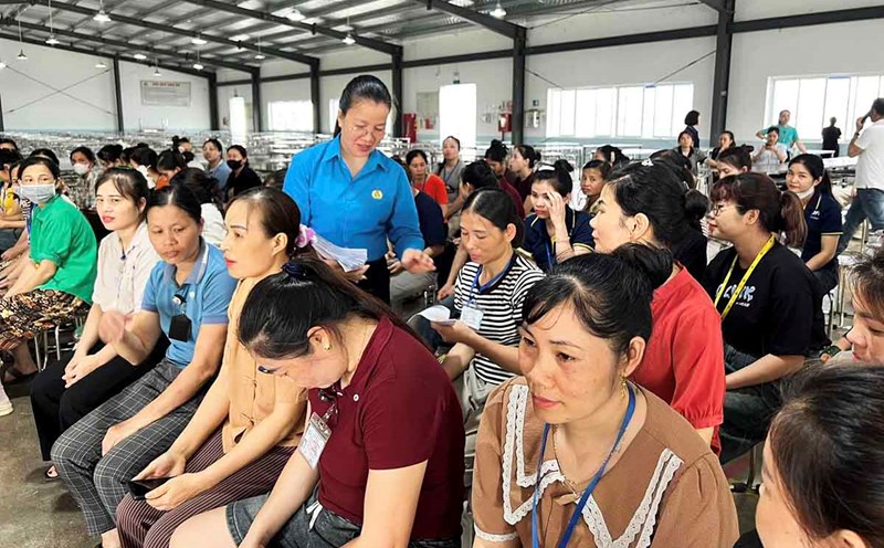 Quảng Trị triển khai thực hiện chỉ tiêu bao phủ Bảo hiểm y tế giai đoạn 2026 - 2030