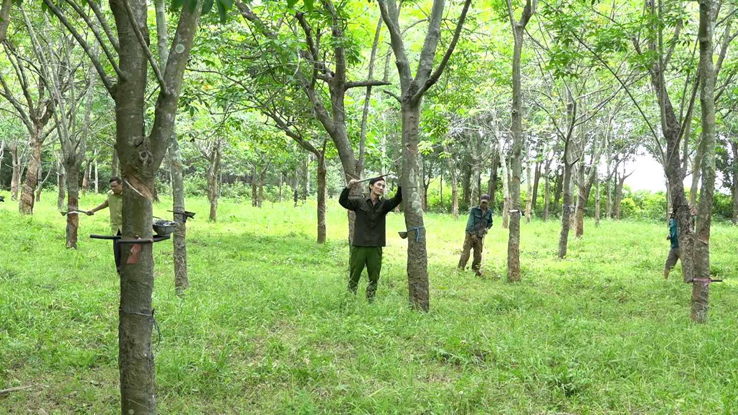 Các chính sách mới có hiệu lực từ tháng 02/2026