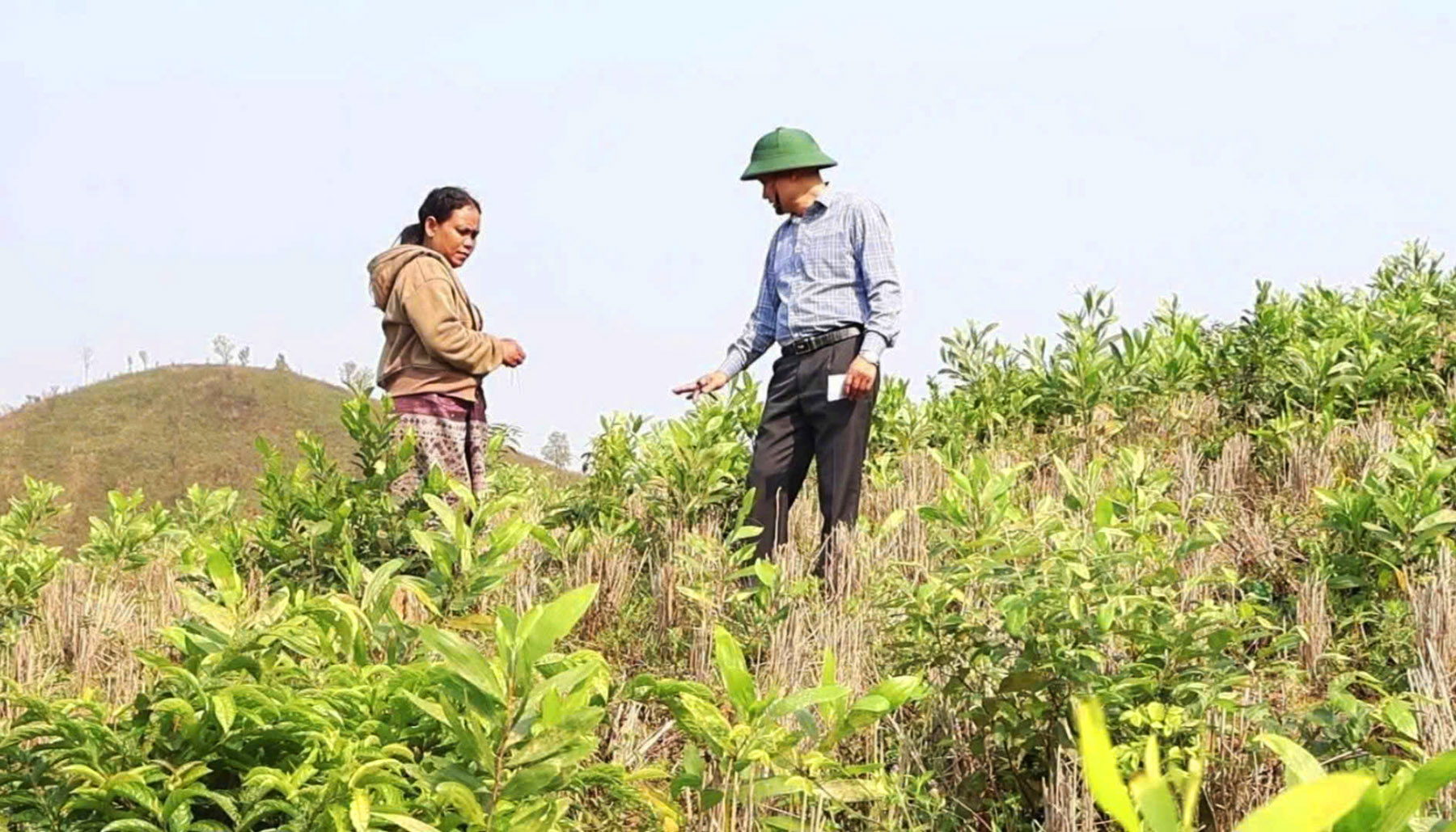Chi hội trưởng phụ nữ năng động làm giàu trên quê hương
