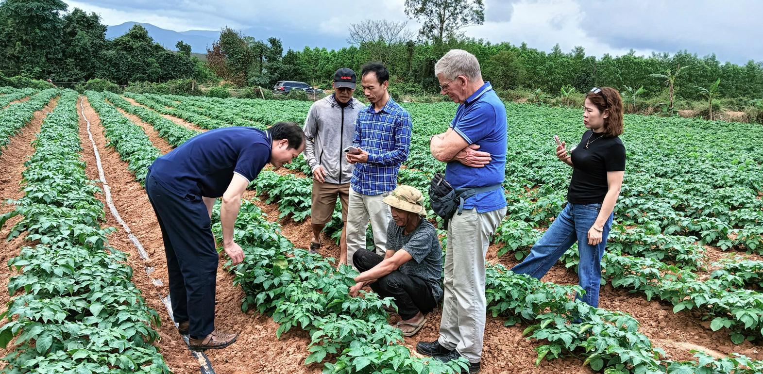 Dự án KOICA-QB-21: Hình thành chuỗi giá trị khoai tây bền vững tại Quảng Trị