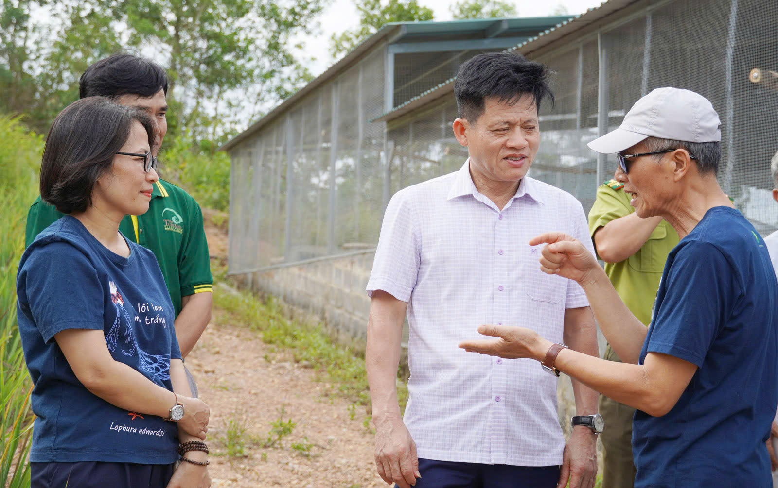 Đón Gà lôi lam mào trắng trở về quê hương, khởi đầu chương trình phục hồi loài quý hiếm